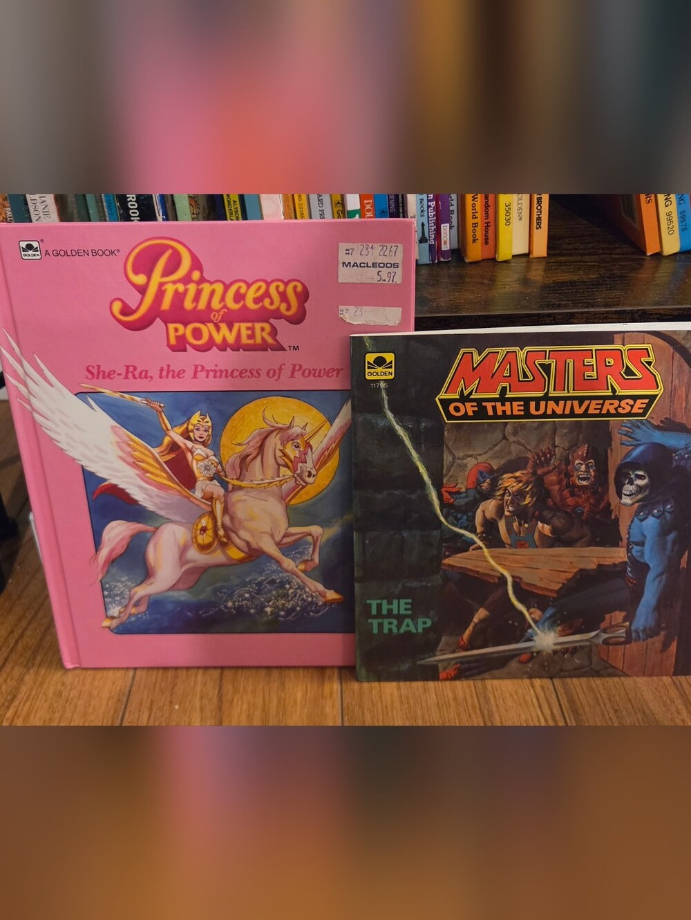 80s She Ra & He Man Book SET